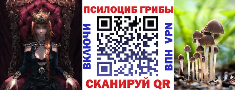 Псилоцибиновые грибы Psilocybine cubensis  Купить закладки  Лабытнанги 